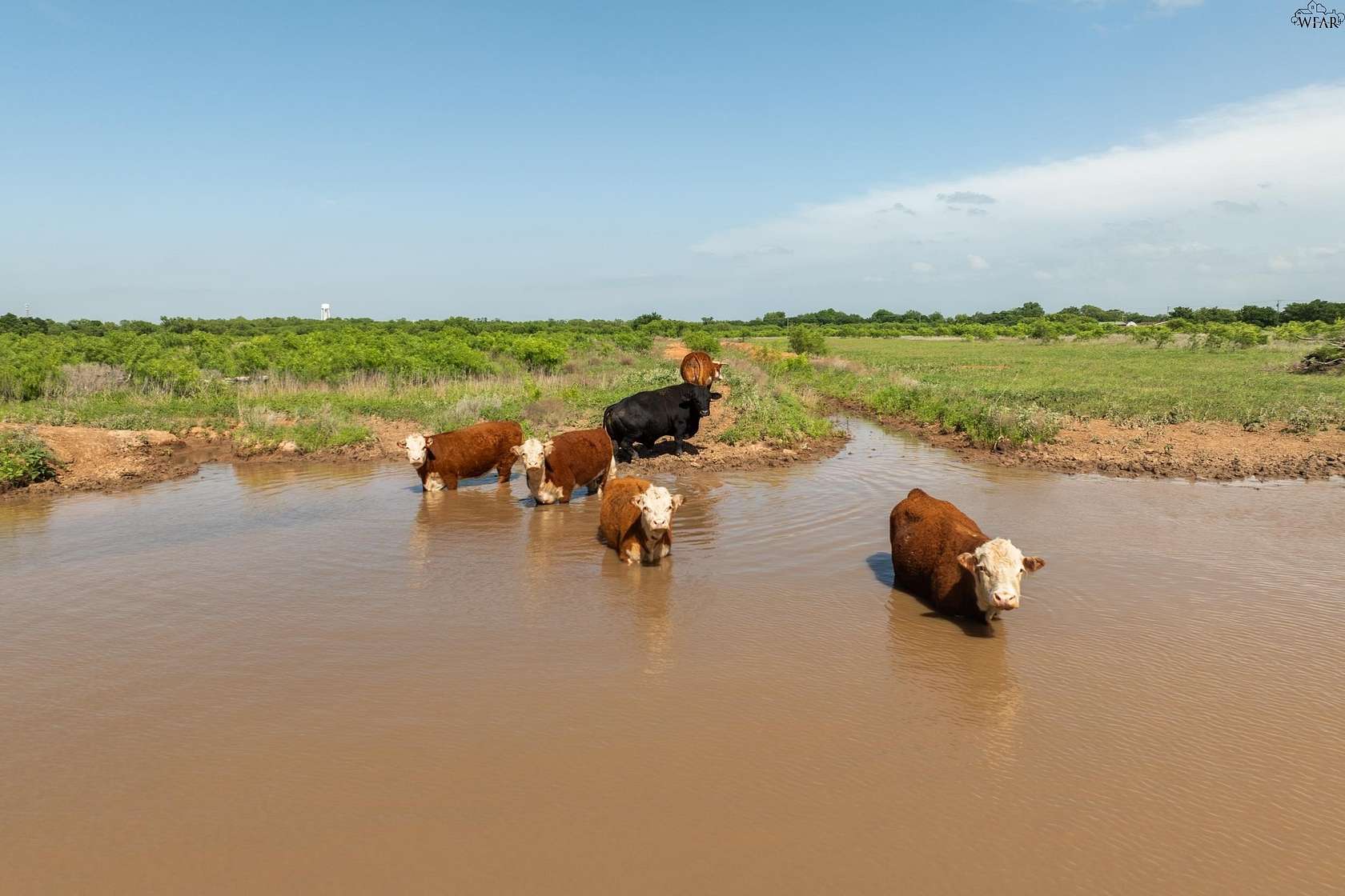 47.2 Acres of Agricultural & Residential Land for Sale in Iowa Park, Texas