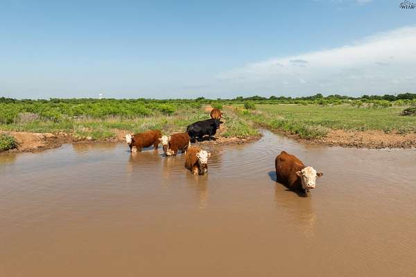 47.2 Acres of Agricultural & Residential Land for Sale in Iowa Park, Texas
