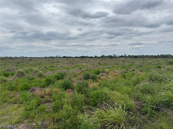 9.71 Acres of Land for Sale in LaBelle, Florida
