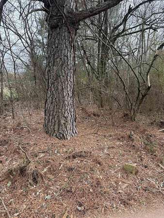 3.8 Acres of Land for Sale in Quitman, Arkansas