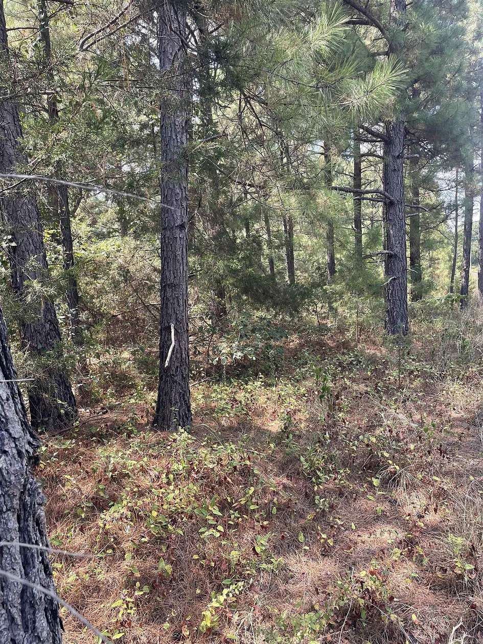 3.27 Acres of Residential Land for Sale in Quitman, Arkansas