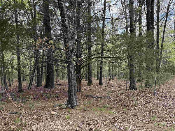 5.8 Acres of Land for Sale in Quitman, Arkansas
