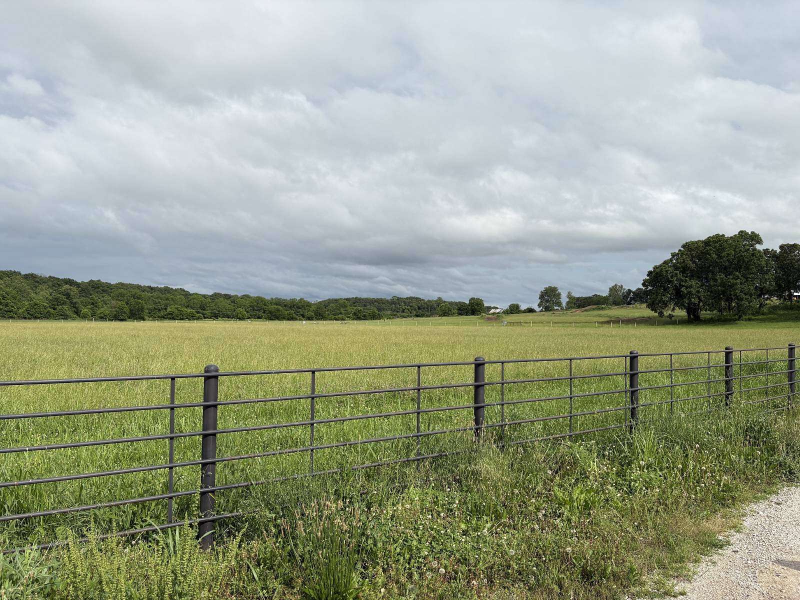 12 Acres of Land for Sale in Lebanon, Missouri