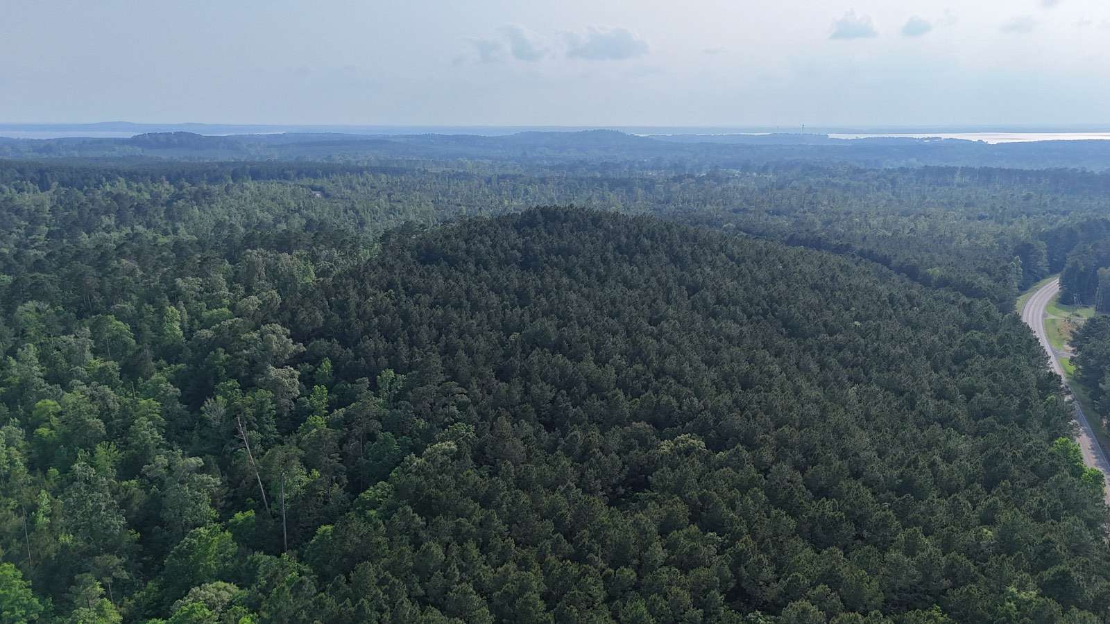 316 Acres of Recreational & Residential Land for Sale in Many, Louisiana