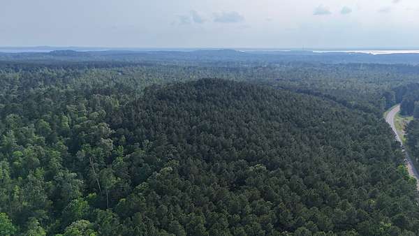 316 Acres of Recreational & Residential Land for Sale in Many, Louisiana