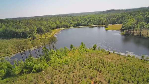 455 Acres of Land for Sale in Heiberger, Alabama
