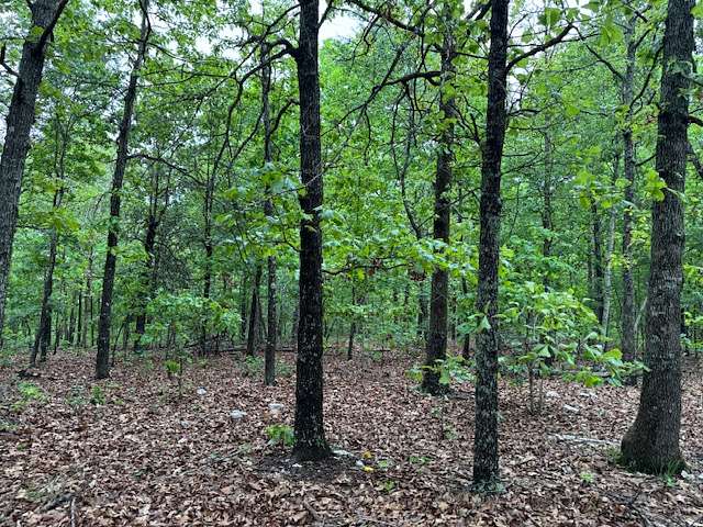 7.46 Acres of Agricultural Land for Sale in Viola, Arkansas