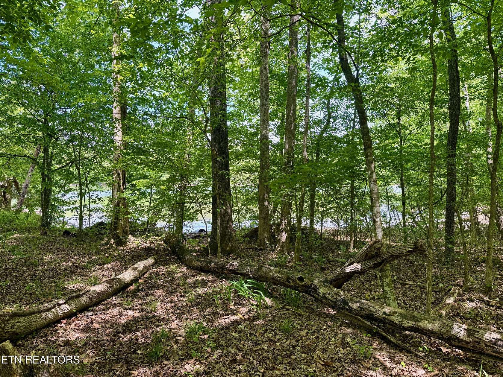 5.56 Acres of Residential Land for Sale in Kingston, Tennessee