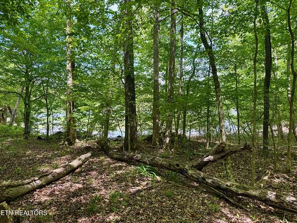 5.56 Acres of Residential Land for Sale in Kingston, Tennessee