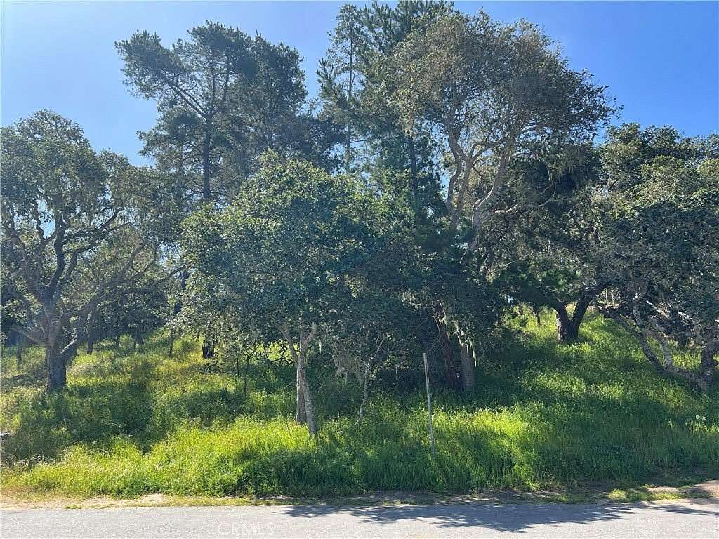 0.25 Acres of Land for Sale in Cambria, California