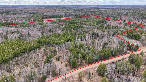 37 Acres of Recreational & Residential Land for Sale in Cornell, Michigan