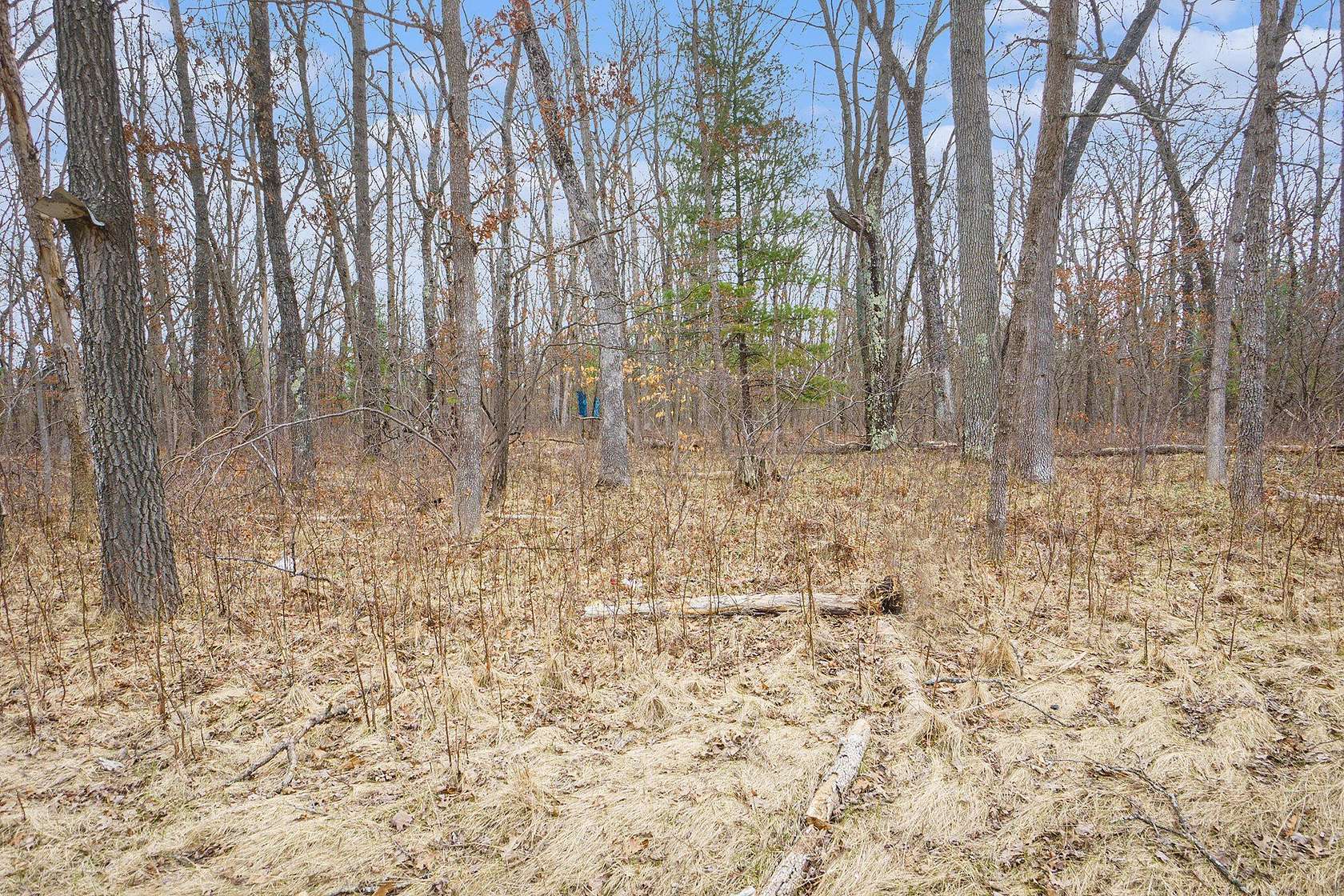 20 Acres of Recreational & Residential Land for Sale in Bitely, Michigan