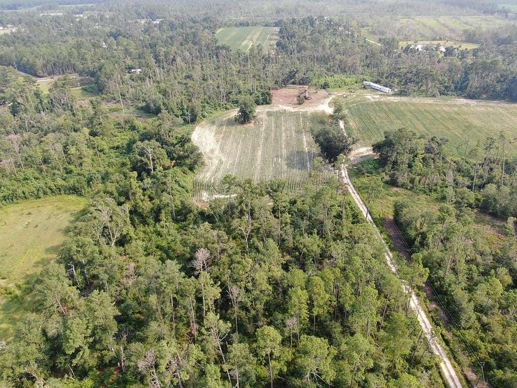 14.4 Acres of Recreational & Residential Land for Sale in Pearson, Georgia