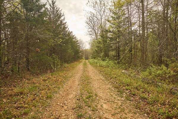 23.9 Acres of Land for Sale in Mountain Grove, Missouri