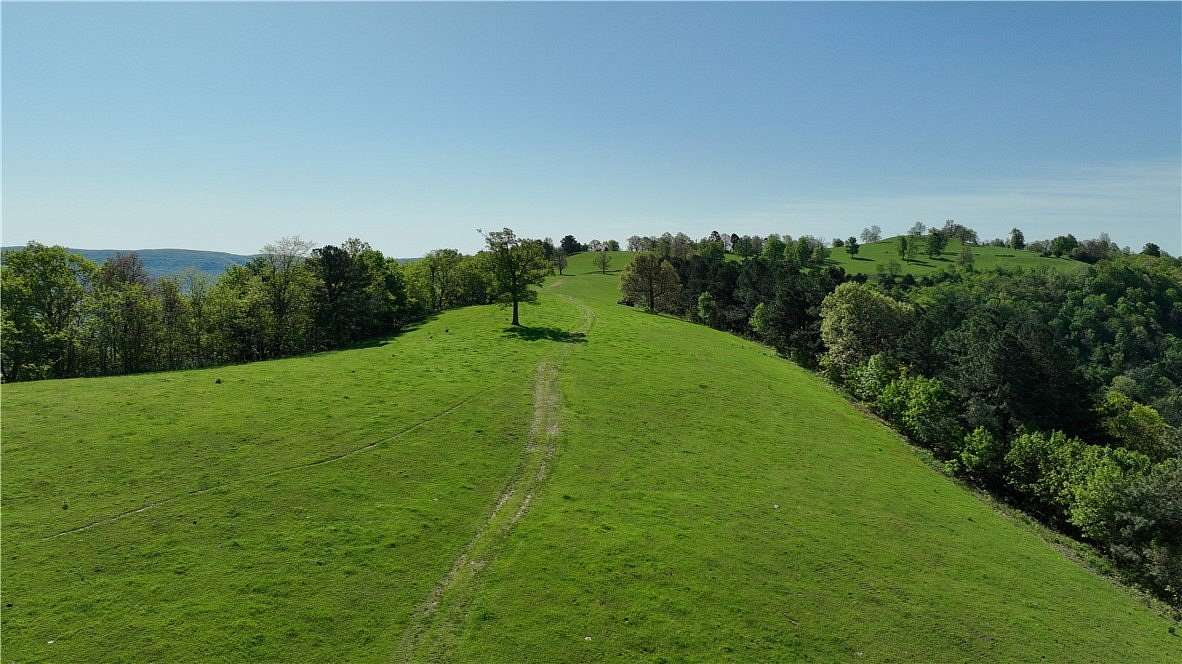 360 Acres of Land for Sale in Mount Judea, Arkansas