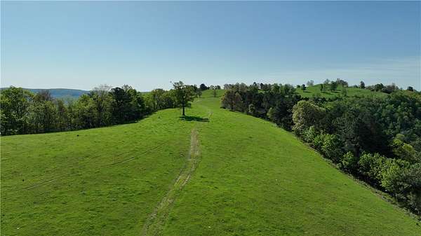 360 Acres of Land for Sale in Mount Judea, Arkansas