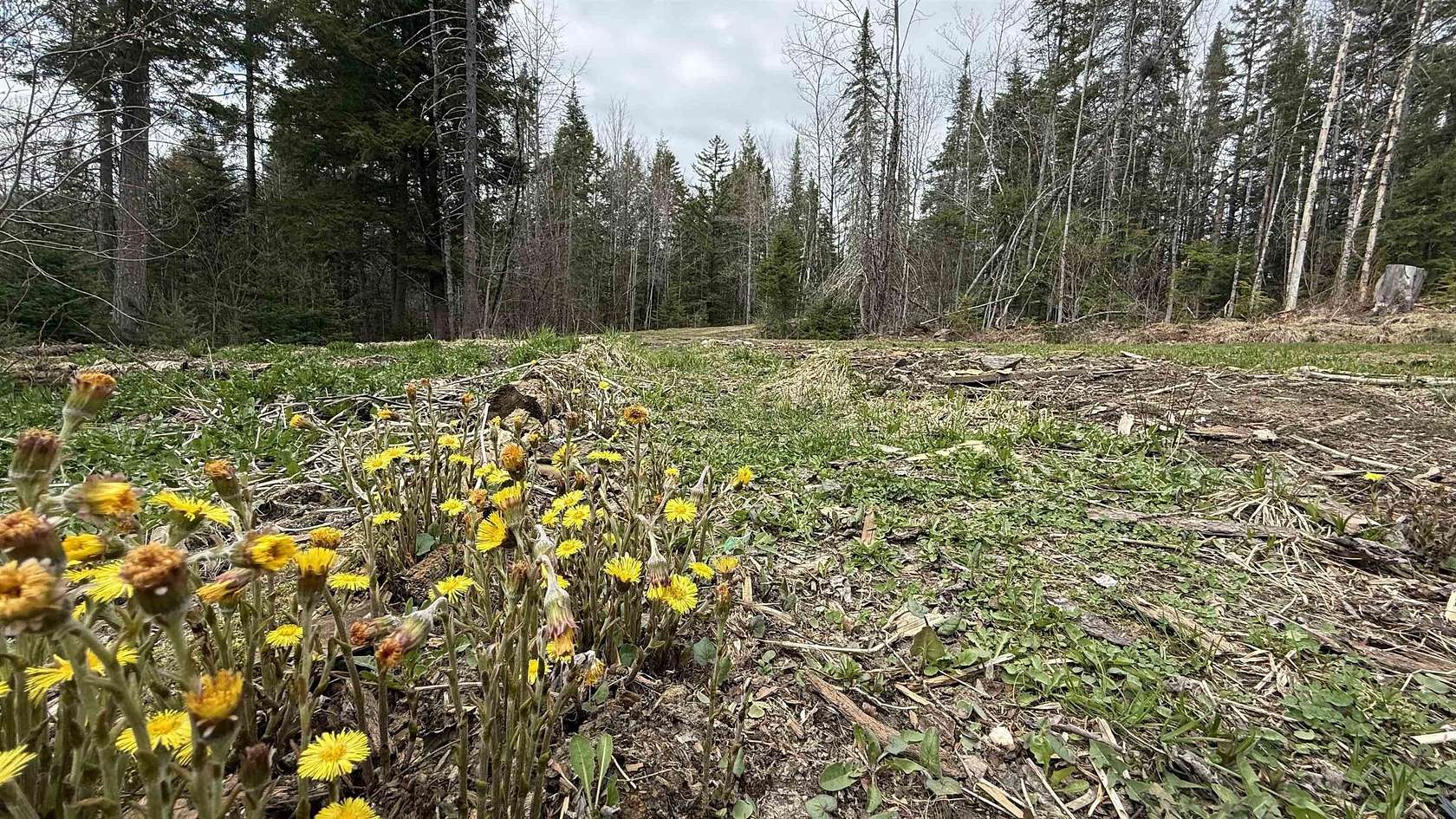 3.5 Acres of Residential Land for Sale in Johnson, Vermont