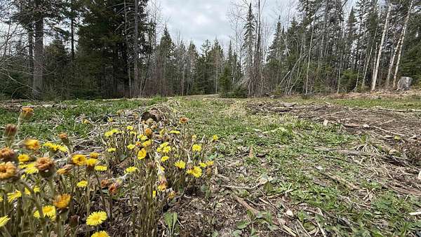 3.5 Acres of Residential Land for Sale in Johnson, Vermont