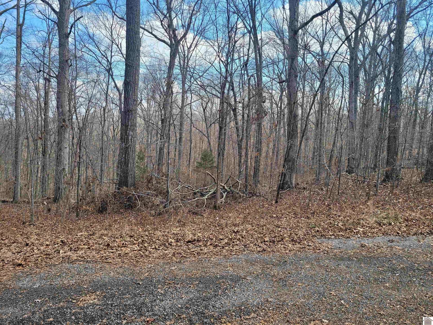 0.9 Acres of Residential Land for Sale in New Concord, Kentucky