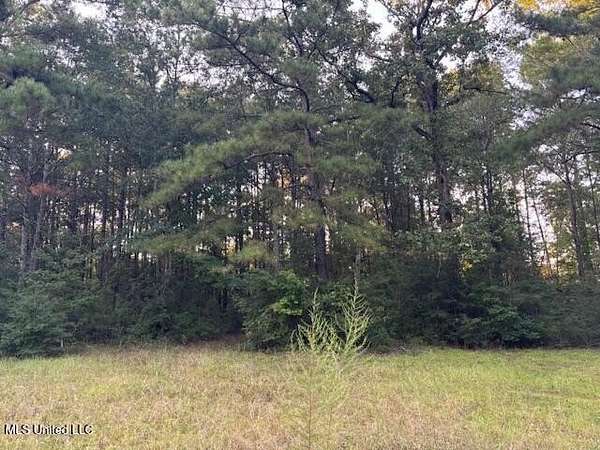 3 Acres of Residential Land for Sale in McComb, Mississippi