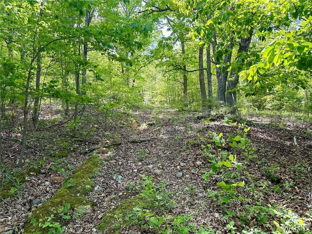 5 Acres of Residential Land for Sale in Cadet, Missouri