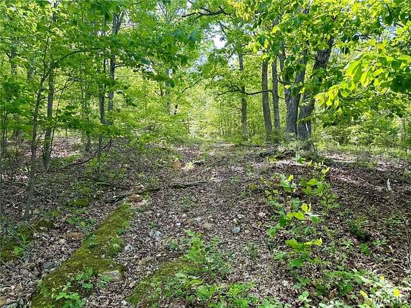 5 Acres of Residential Land for Sale in Cadet, Missouri