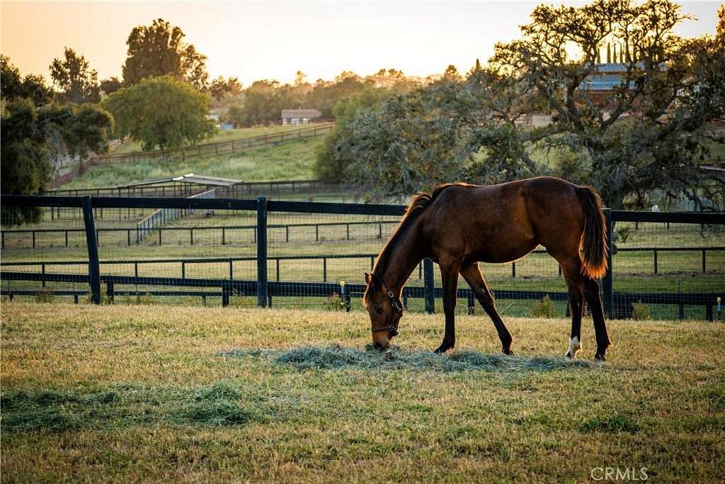 20 Acres of Agricultural Land for Sale in Santa Ynez, California