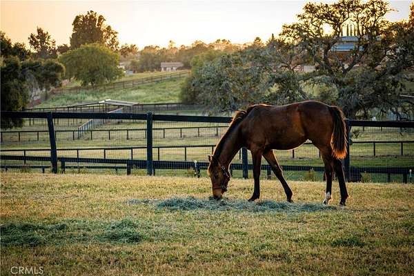 20 Acres of Agricultural Land for Sale in Santa Ynez, California