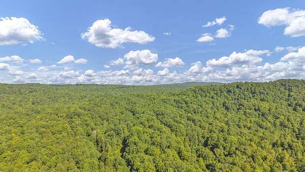 30.5 Acres of Recreational & Residential Land for Sale in Danese, West Virginia