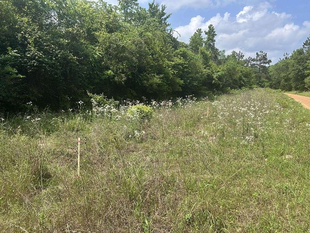 2.36 Acres of Residential Land for Sale in Garrison, Texas