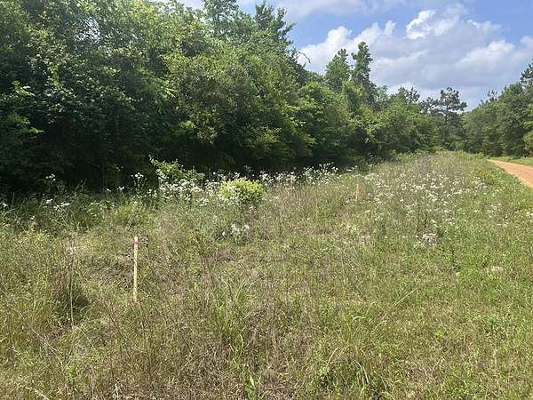 2.36 Acres of Residential Land for Sale in Garrison, Texas