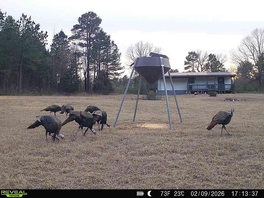 48.5 Acres of Recreational Land for Sale in Clarksville, Texas