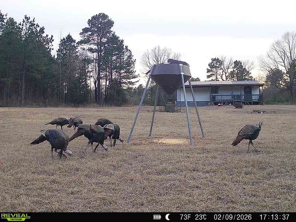 48.5 Acres of Land for Sale in Clarksville, Texas