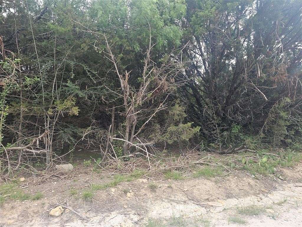 0.23 Acres of Land for Sale in Whitney, Texas