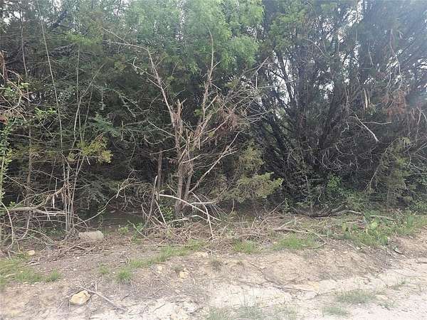 0.23 Acres of Land for Sale in Whitney, Texas