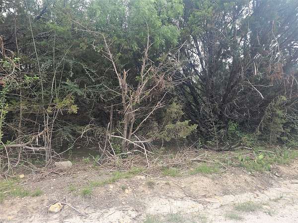 0.23 Acres of Land for Sale in Whitney, Texas