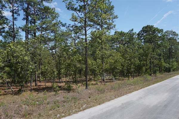 1 Acre of Residential Land for Sale in Dunnellon, Florida