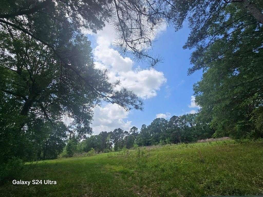 33.3 Acres of Recreational & Residential Land for Sale in Deweyville, Texas