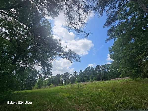 33.3 Acres of Recreational & Residential Land for Sale in Deweyville, Texas