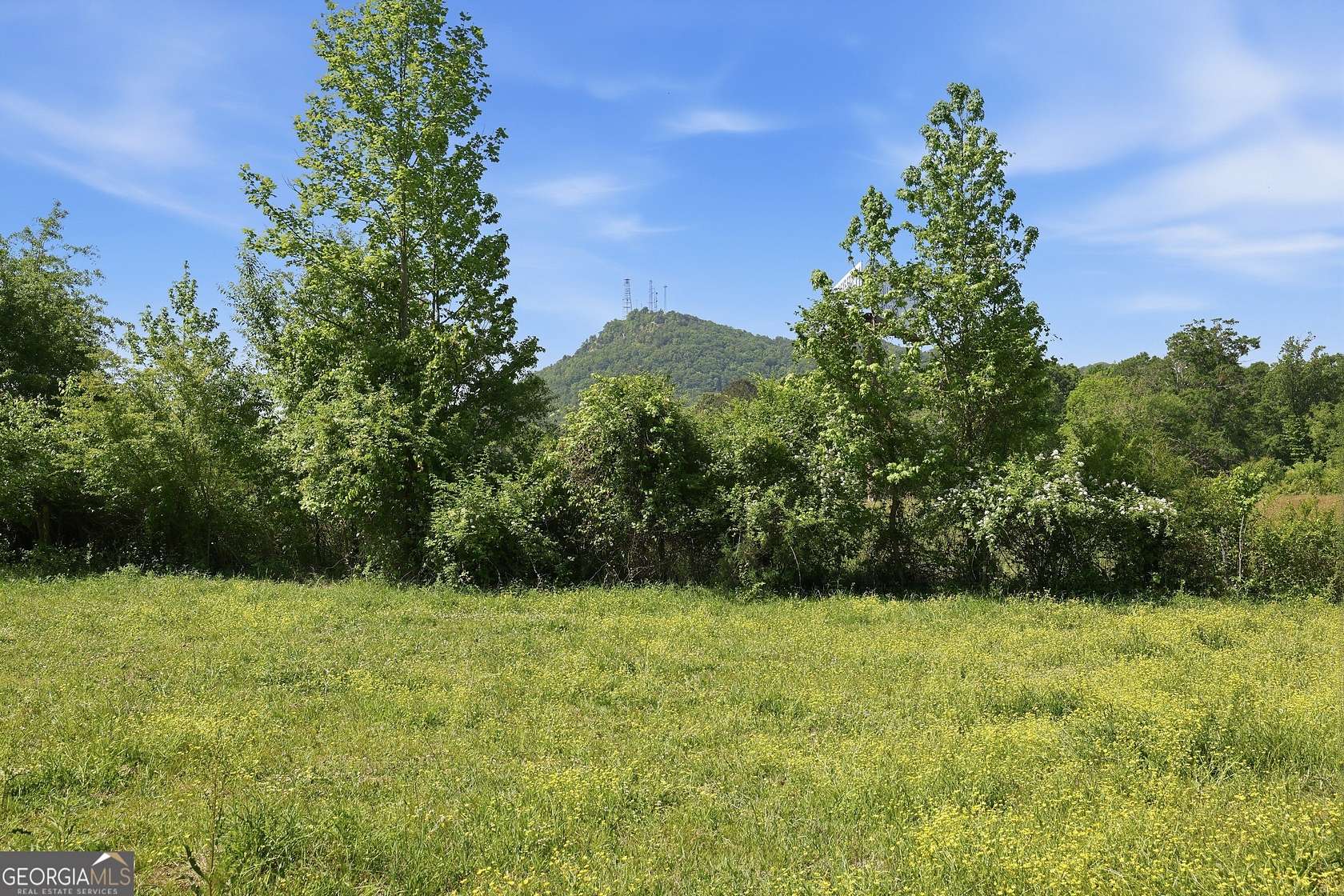 35.6 Acres of Land for Sale in Toccoa, Georgia