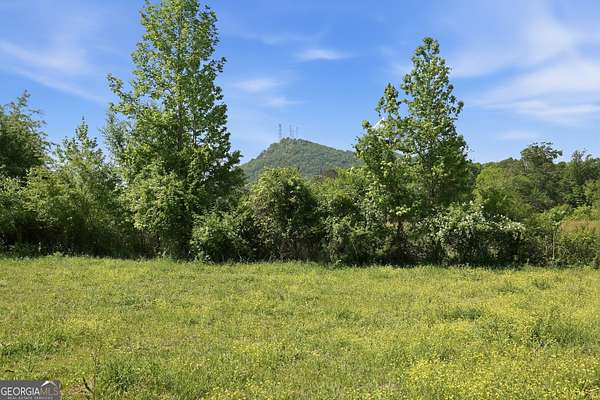 35.6 Acres of Land for Sale in Toccoa, Georgia