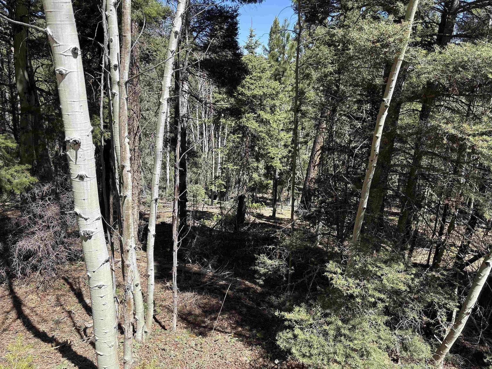 1.12 Acres of Residential Land for Sale in Angel Fire, New Mexico