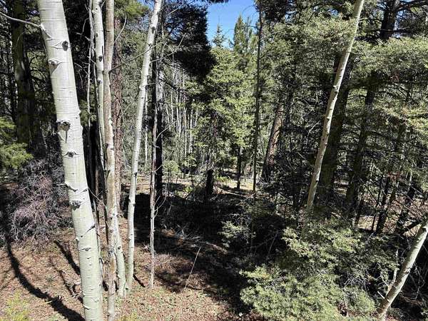 1.12 Acres of Residential Land for Sale in Angel Fire, New Mexico