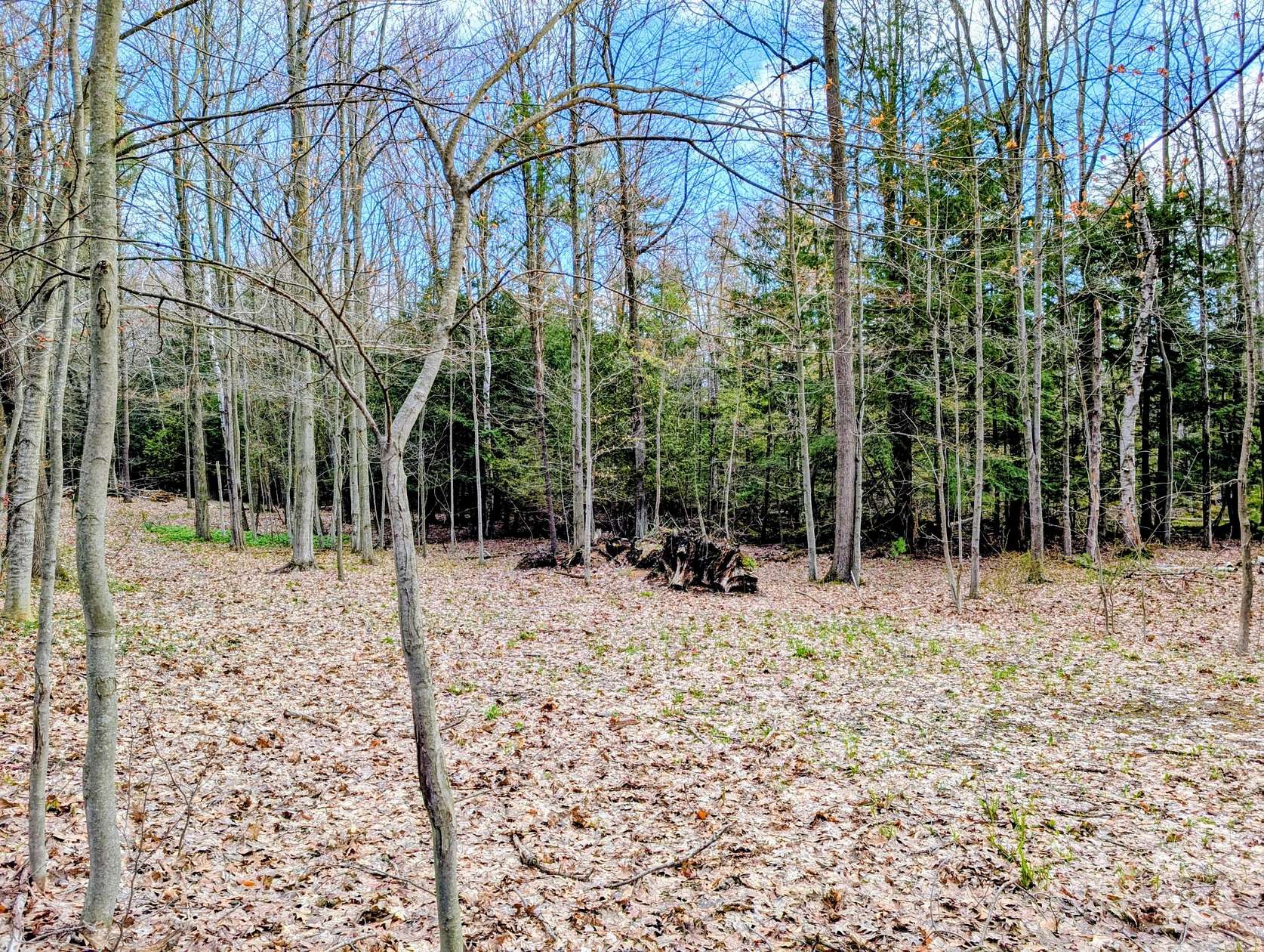 1.1 Acres of Land for Sale in Ludington, Michigan