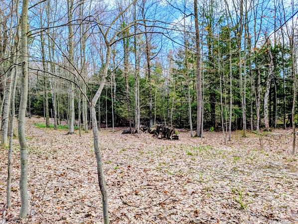 1.1 Acres of Land for Sale in Ludington, Michigan