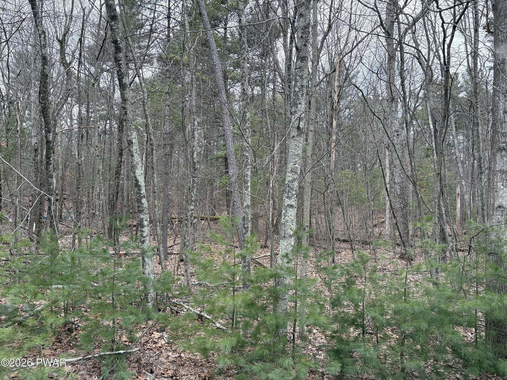 1 Acre of Residential Land for Sale in Dingmans Ferry, Pennsylvania