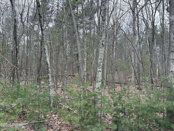 1 Acre of Residential Land for Sale in Dingmans Ferry, Pennsylvania