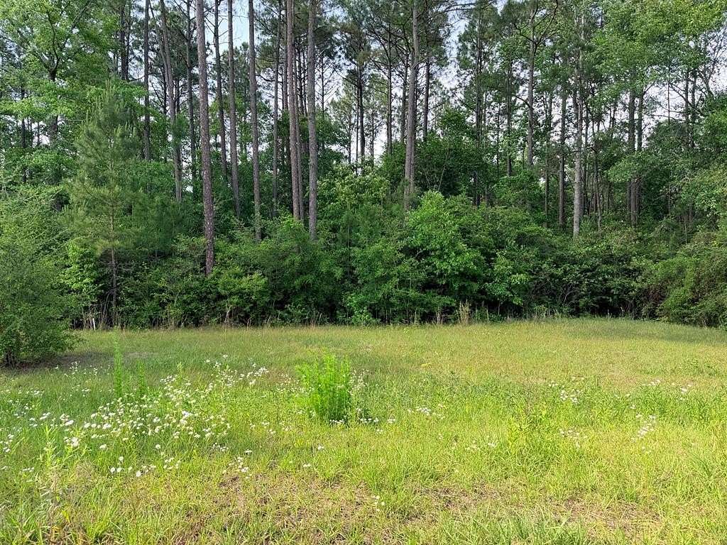 0.47 Acres of Residential Land for Sale in Carriere, Mississippi