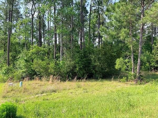 0.47 Acres of Residential Land for Sale in Carriere, Mississippi