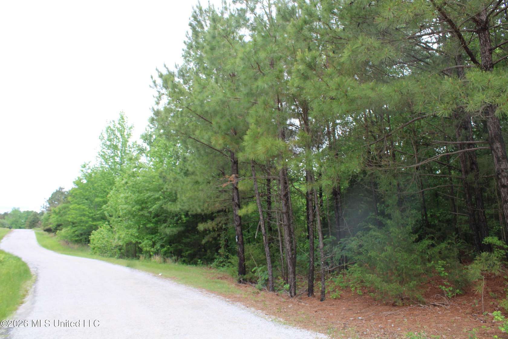 10 Acres of Residential Land for Sale in Byhalia, Mississippi